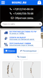 Mobile Screenshot of beginz.ru